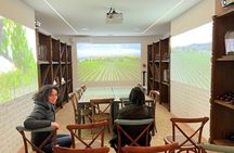 Wine Tasting and Visit to the Vineyard and Cellar in Trequanda