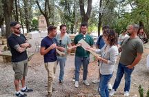 Wine Tasting and Visit to the Vineyard and Cellar in Trequanda