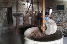 Kruja and Shkodra Day Trip from Tirana (3-6 Pax) 