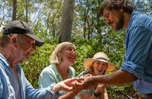 Authentic Indigenous Cultural Tour Including Scenic River Cruise