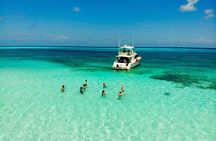 The Best Cozumel Snorkeling Tour Palancar, Colombia and El Cielo Reefs