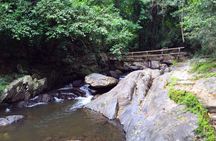 Pala U Waterfall in Kaeng Krachan Jungle with Private Guide from Hua Hin