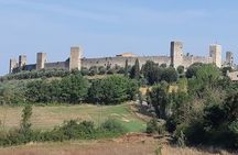 PRIVATE TRANSFER from Siena to Florence with stop in S Gimignano & Monteriggioni