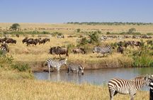 Safari Nairobi National Park 