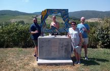 1-Hour Experience with Brunello. Visit to the Vineyard and Cellar