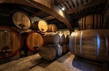 1-Hour Experience with Brunello. Visit to the Vineyard and Cellar