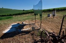 1-Hour Experience with Brunello. Visit to the Vineyard and Cellar