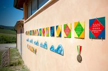 1-Hour Experience with Brunello. Visit to the Vineyard and Cellar