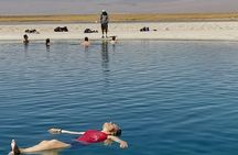 Half-Day Tour to Laguna Cejar