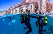 Scuba Diving Baptism Experience in Santa Cruz Tenerife