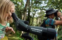 San Jose Walking Nature Tour: Sloths, Birds and Trees