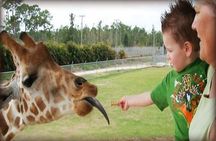 Small Group Fort Lauderdale&Palm Beach Day Tour from Miami FL