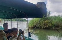 7 Hours Monkey Island and Nature Walk at Soberania National Park