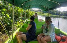 Monkey Tour Adventure with Gamboa Rainforest Nature Walk