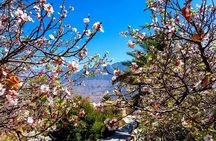 2 Days 1 Nights Private Trip to Wakan