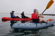 Mola Mola Kayaking Experience with a Licensed Guide