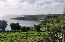 Exploring Marsaxlokk, Blue Grotto and Malta best sights! 