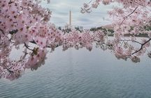 Private DC Guided Bus Tour with Step Off Guide 