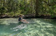 Chassahowitzka River Clear Kayak Springs & Manatee Tours 
