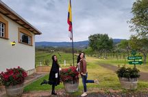Wonderful tour of Villa de Leyva, and Zipaquira Salt Cathedral.
