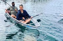 Crystal River Three Sisters Springs and Manatee Clear Kayak Tours