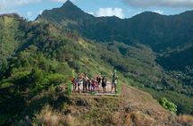  Moorea Cruise Ships: 4x4, Belvedere,Magic Mountain pineaple