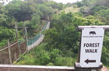 2hr Guided Game Drive at 10h00; Kragga Kamma Game Park Ticket