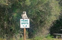 2hr Guided Game Drive at 10h00; Kragga Kamma Game Park Ticket