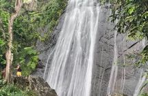 USDA El Yunque National Forest and Luquillo Beach Tour