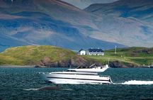 Whale Watching & Dolphin Yacht Cruise