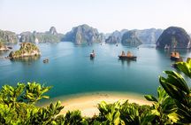 Halong Bay Cruises Top Seller included Pick up & Transfers
