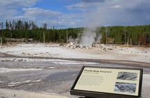 Yellowstone Lower Loop VIP Full-Day Private Tour with Lunch