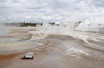 Yellowstone Lower Loop VIP Full-Day Private Tour with Lunch