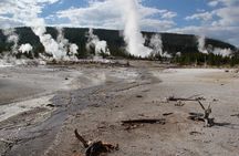 Yellowstone Lower Loop VIP Full-Day Private Tour with Lunch
