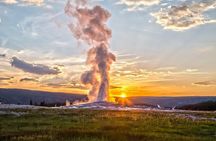Yellowstone Lower Loop VIP Full-Day Private Tour with Lunch
