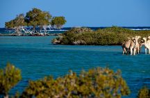 Private trip to wadi el Gemal from Marsa Alam