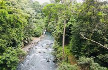 3 in 1, zipline over blue river, tubing on blue river and sloths