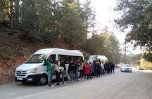 day trip from fez to middle atlas mountain 