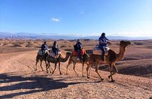Experience the Agafay Desert -Camel Ride and Sunset Tea on The top of a Hill 