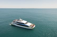 2 Hour Whale-Watching Cruise from Hillarys Boat Harbour