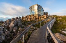 Mt Wellington Explorer