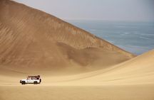 Mola Mola Marine Dune Experience