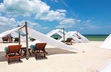 Full-Day Holbox Island Boat and Buggy Tour with Lunch