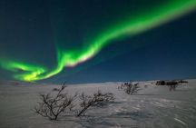 Northern Lights Hunt from Alta Cruise Harbor
