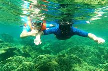 OnBird - Private family KID-FRIENDLY Snorkeling trip by speedboat in Phu Quoc