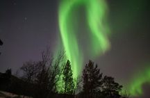 Northern Lights Hunt from Alta Cruise Harbor