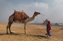 Thrilling Half-Day: Discover Pyramids, Sphinx, Camel Ride& Lunch!