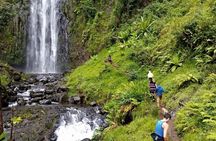 Full Day Materuni Water Falls, Hiking and Coffee Making Tour in Moshi
