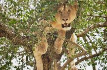 3-Day Tarangire, Lake Manyara and Ngorongoro