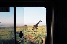 3-Day Tarangire, Lake Manyara and Ngorongoro